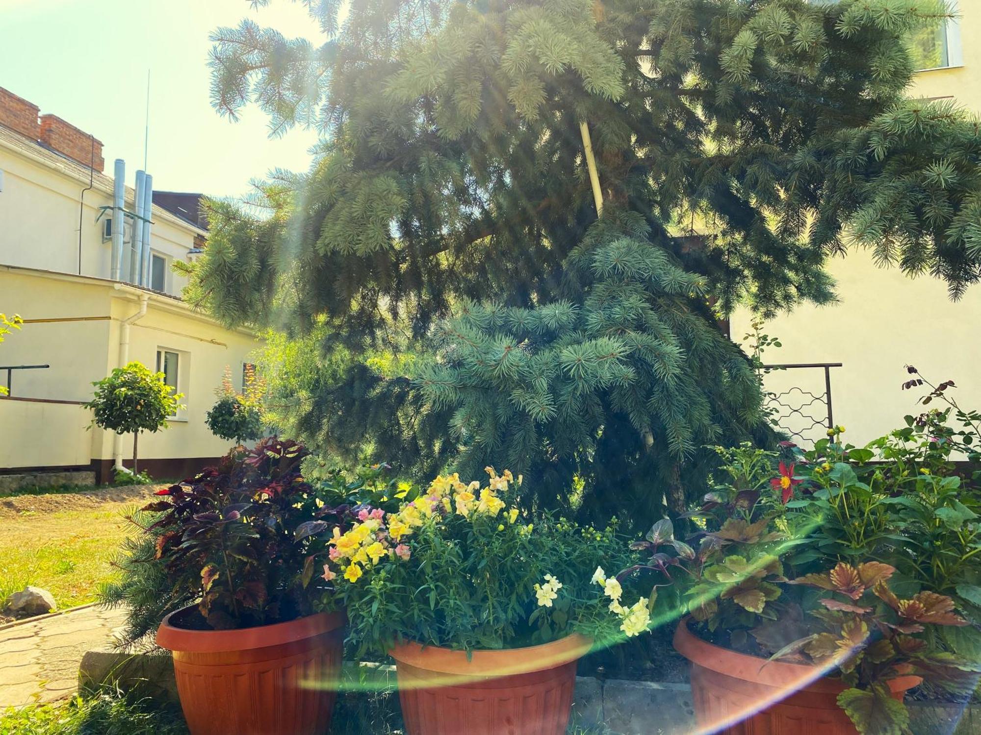 Орхідея Hotel Romny Buitenkant foto